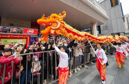 “龙年摸龙头万事不用愁”市民追捧舞龙队伍争摸龙头