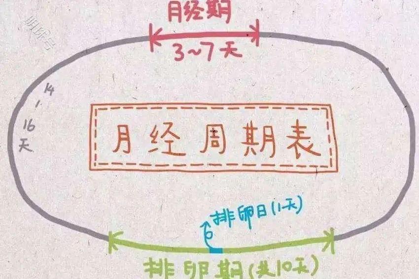 昆明送子鸟：自己什么时候才能好孕？这份生育力自测表给你答案！