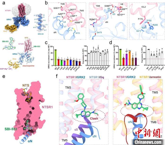 中国科学家药物基础研究获重要突破 为新药研发开辟全新路径