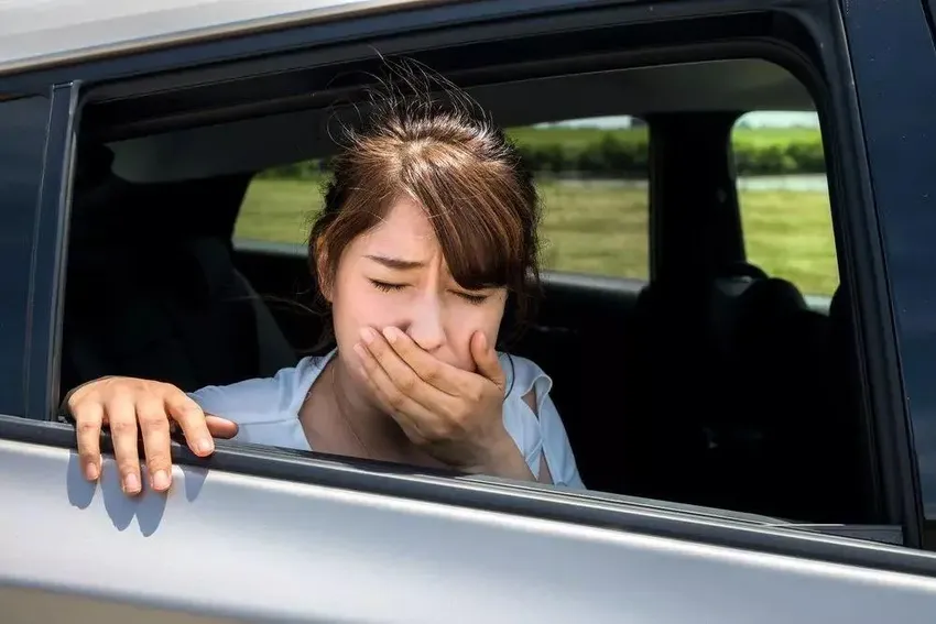 八达岭野生动物园私自下车，被老虎撕咬的赵菁，后来怎样了？