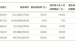 证券销售及交易成绩亮眼，东方证券上半年净利润同比增11.04%