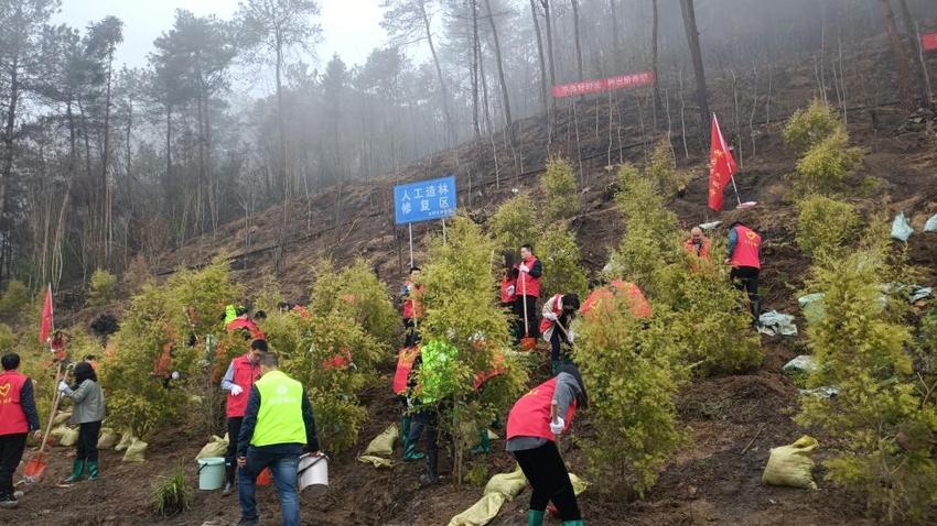 侧记丨以练为战 从一场山地防火演练看北碚区森林防火工作