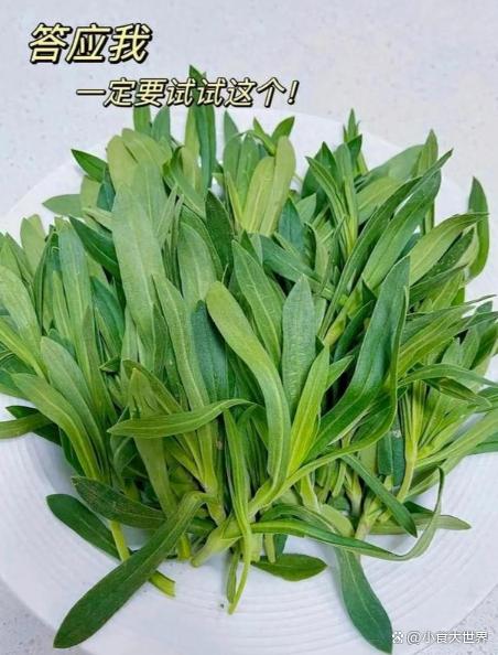 五月抓紧吃这菜，清热解毒，通肠润便，比荠菜韭菜都要好