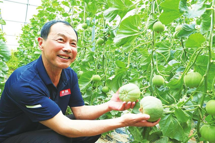 寨头堡乡：铺就乡村振兴幸福路