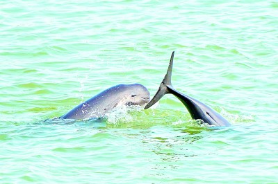 流域综合治理展开新卷在湖北宜昌