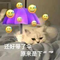 E句话 | 广末凉子怎么就传出轨了？