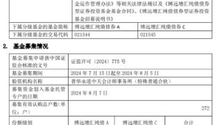 博远增汇纯债债券成立 募集金额62.3亿元