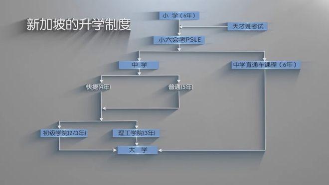 《他乡的童年》：能否“容错”，不仅是教育的差异，更是社会人文的差异