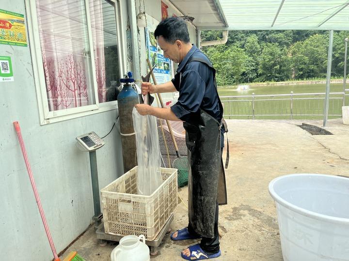 仁怀九仓镇：特色产业遍地开花 乡间沃野生机勃勃