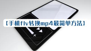 flv和mp4都是视频格式的一种吗？