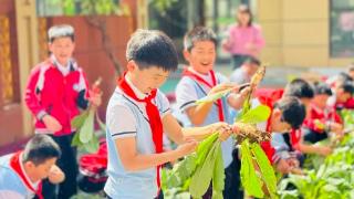 雀跃农场乐事多，临沂金雀山小学孩子们的水萝卜丰收啦