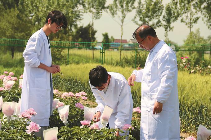 “花经济”趋热，如何让产业“花开见喜”