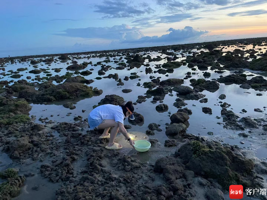 临高美景丨来临高赶海公园 体验赶海乐趣