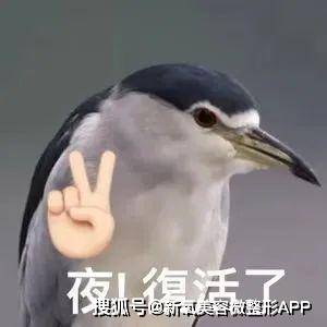 《浪姐》开播！从姐姐们的状态看吃钙片到底该怎么选？