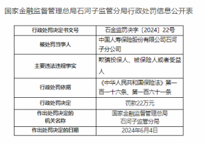 因欺骗投保人等，中国人寿石河子分公司被罚22万元