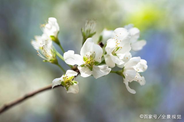 女人的高级活法，就是学会“投资自己”