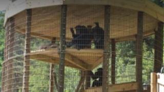 美国一官员挪用30万美元建动物园，为自己开的民宿引流
