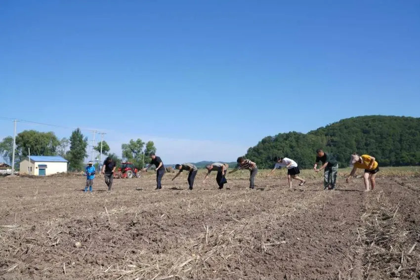 吉林受灾地区推动补栽抢栽减少农业损失