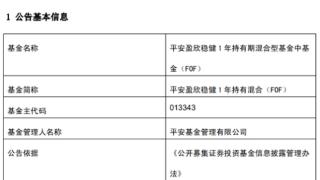 平安盈欣稳健1年持有混合增聘基金经理高莺