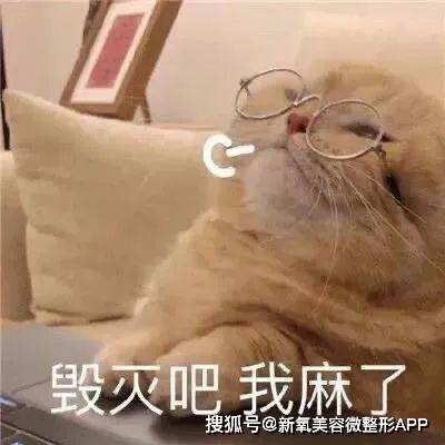 起猛了…看见她想跟前夫上恋综？