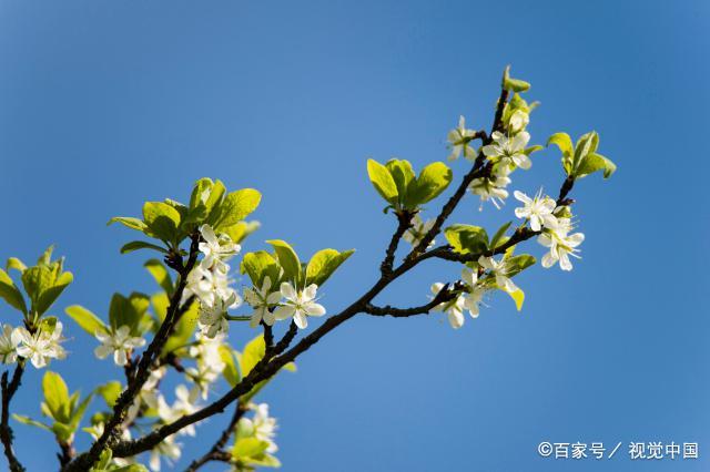 人到中年，下面这三种亲戚，只会给你带来麻烦，就不要来往了