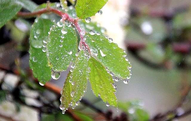 人生的这三场凄风苦雨熬过去，你就赢了