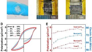 可穿戴！我国科学家率先打造出有弹性的铁电材料