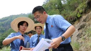 浙江缙云:数字化手段赋能林区道路规范建设