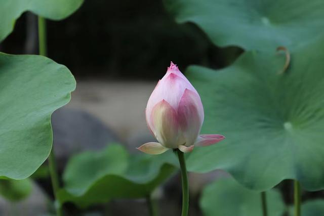 两个人的感情如何，从花钱方式上就注定了