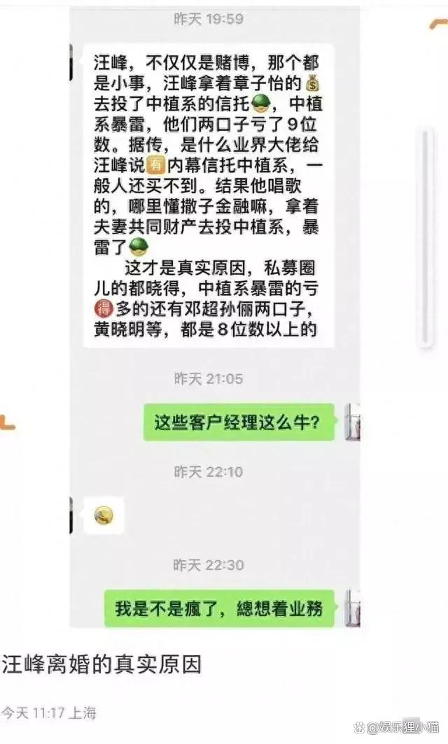 章子怡汪峰离婚真相，听信谗言亏损9亿，真的假的？