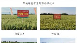 陕西省多项成果入选农业农村部2024年农业主导品种和主推技术