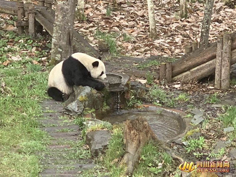 雅安市所有a级景区、文博场馆免门票