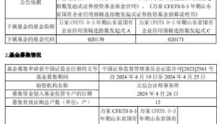 万家CFETS0-3年期山东省国有企业信用债精选指数发起式成立 规模50.4亿元