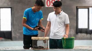 （经济）河北黄骅：水产养殖拓宽渔民增收致富渠道