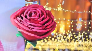 来“心动”吧！“巨型玫瑰”绽放哈尔滨百年老街