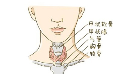 甲减并不可怕，未知的病因才是最可怕的