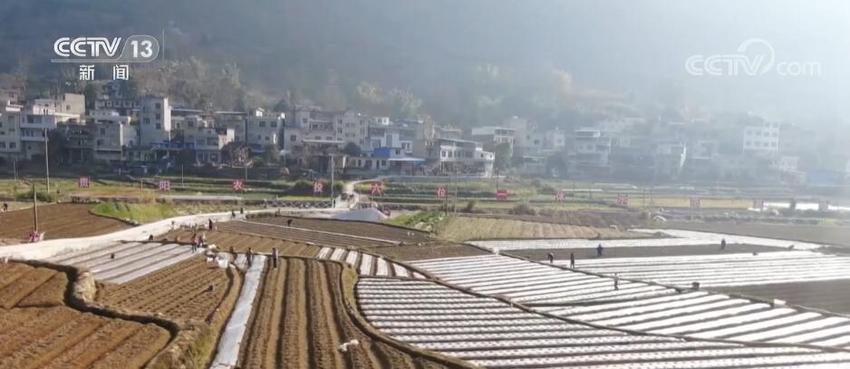 贵州罗甸强化技术指导 全力保障春耕生产