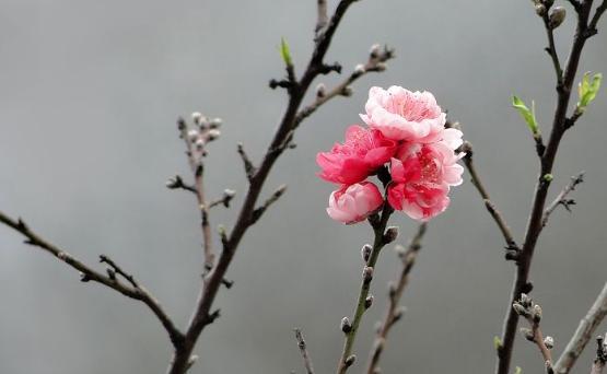 爱上一个人，能够得到的对方同样的爱，感情有了双向奔赴