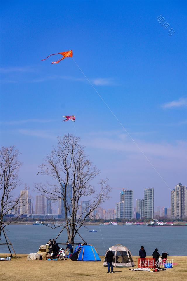 忙趁东风放纸鸢，武汉洪山江滩周末成风筝海洋