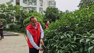 临沂市雕塑公园管理办公室党支部开展“园林进社区，服务零距离”“双报到”活动