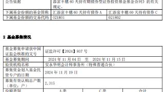 汇添富丰穗60天持有债券成立 规模10.9亿元