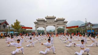 郑州国际少林武术节迎宾式彩排 塔沟武校学员演绎少林功夫亮点