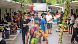 奉贤这个“马路菜场”变身满百日