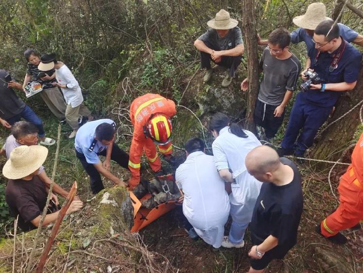 重庆巫山县：七旬老人失联近60小时，多方合力搜救绝境逢生