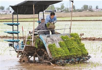 唤醒“沉睡”的耕地后备资源