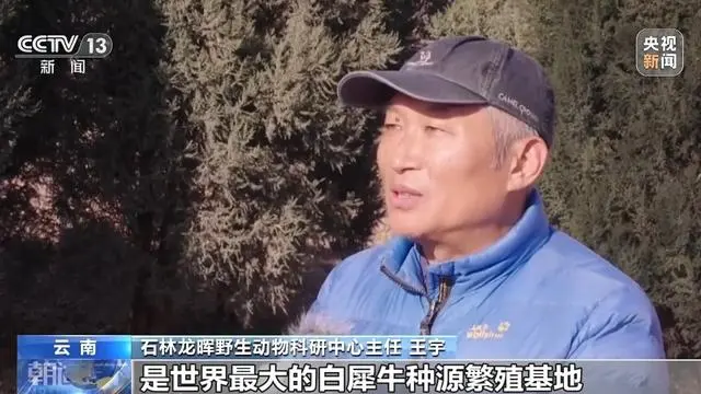 非洲黑犀起源于中国？中国科学院：原始祖先1000多万年前就生活在中国土地上