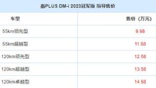 秦plusdm-i冠军版新增车身配色，售9.97万