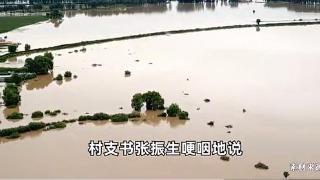 黑龙江双城遭遇洪水包围，村支书哽咽：一年收成全没了