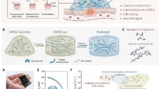 水凝胶半导体材料问世，有望用于生物集成电路