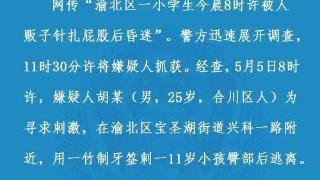 重庆一小学生被人贩子针扎屁股后昏迷嫌疑人被刑拘